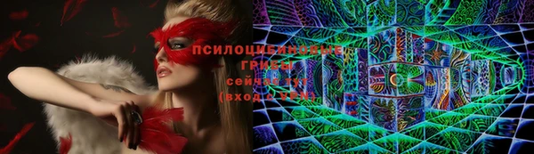 стафф Алзамай
